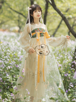 Hanfu female summer fairy student Chinese style full-breasted skirt Super fairy elegant retro embroidery improved version of the dress
