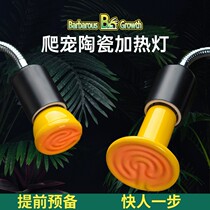 Climbing pet constant temperature ceramic heating lamp parrot reptile box lizard feeding box night heating lamp temperature control warm keeping warm