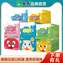 Mengniu cheese fish children high calcium milk tablets 80 160g Inner Mongolia children dry eat cheese dairy candy