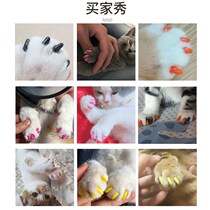 Pet nail set dog nail set cat nail set cat cat dog claw cover anti-catch cat catch Teddy nail