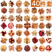 Kongming lock Luban lock Wooden full set of childrens educational toys intellectual development boys and girls adult nine series