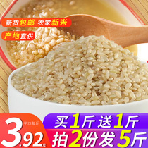 Northeast Brown Rice 2 Jin 2020 New Rice 1kg Germinated Brown Rice Low Fat Fitness Fat Reductions Fat Reductions