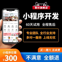 WeChat Mini Program Development And Production Mall Distribution Ordering Group Purchase Education Live Broadcast Running Errands Magazine Voting in the Same City