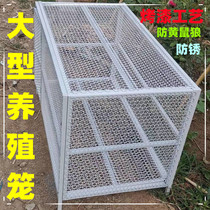 Breeding Chicken Cage Pigeon Cage Cat Cage Rabbit Cage Dog Cage Anti-Rat Wolf Anti Rat Rat Roast Paint No Rusty Large Cage