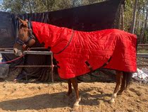 Winter cotton-proof horse-riding training equipment cold-proof colt clothing with a bib to keep out the cold-resistant horse clothing