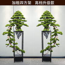  Large simulation beauty pine bonsai welcoming pine ornaments Living room floor-to-ceiling New Chinese style decoration Entrance office cliff cypress