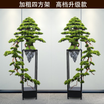  Large simulation beauty pine bonsai welcoming pine ornaments Living room floor-to-ceiling New Chinese style decoration Entrance office cliff cypress