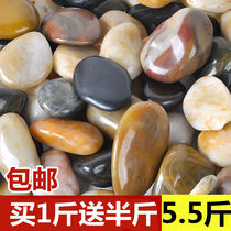 Natural rain flower stone pebbles fish tank landscaping original stone small white stone colorful stone goose soft stone Pebble Pebble colored stone