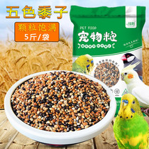Dazzling Parrot Bird grain five-color millet budgerigar skin parrot feed mixed grain bird Jade Bird Xuanfeng bird eating millet