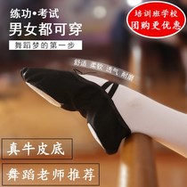 Ballet dance shoes beginner strap children female adult male soft bottom practice shoes cat claw shoes classical dance