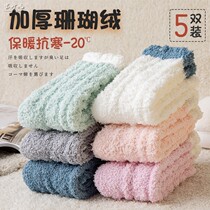 Coral fleece socks women's socks in autumn and winter after delivery plus velvet padded warm moon loose mouth home floor socks