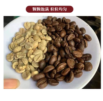 Saigon Vietnam G8COFFEE Arabica civet poop cooked coffee beans Vietnamese light baking 500g bag