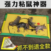 There are mice do sticky rat strong paste sticking out ban jiao stick catch gripper catch rodent artifact home