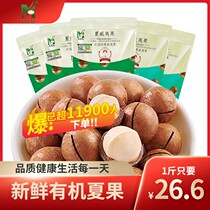 Hawaiian fruit new summer fruit mother ketone nuts bulk box 5kg 1kg original flavor Yunnan pregnant women dried fruit snacks