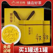 Authentic Anji cherishes white tea golden Bud tea 2021 New Tea Green Tea Tea golden tooth Golden Leaf