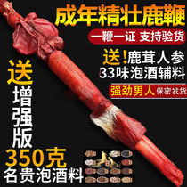  Dried deer whip Whole male deer whip Tonic wine material Ginseng deer antler slices Jilin Sika deer deer whip fresh