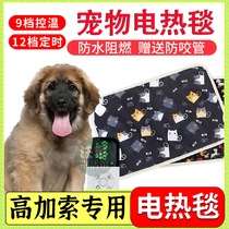 Caucasus special pet electric blanket pooch with waterproof heating pad electric bedding insulation large number anti-earth leakage thickened
