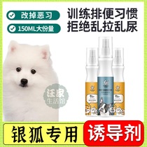 Silver Fox Fox Dog Special God Instrumental Puppies Such As Toilet Pee Positioning Sprinkle Dogs Upper Toilet Pinpoint Inducers