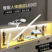 Intelligent human body sensor light porch shoe cabinet light with LED aisle wine cabinet wardrobe display cabinet ultra-thin board long strip light