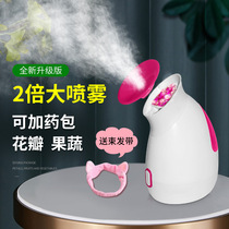 Face steamer hot spray steamer open pore beauty instrument face water spray thermal spray instrument beauty salon put medicine bag