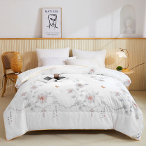 Fuana silk quilt 100% mulberry silk quilt spring autumn and winter quilt core single and double household padded winter quilt