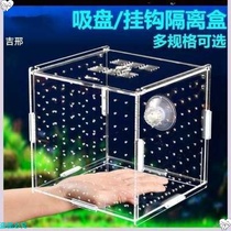 Pingdong breeding incubator box Fish Tank juvenile fish multi-grid isolator viewing off-board partition box small fish net Peacock