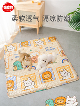 (Pet dog 430) Pet floor mat foot mat dog mat sleeping mat cat mat anti-skid mat anti-cat litter mat