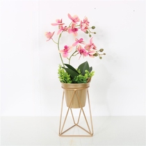 Metal Plant Stand with Golden Iron Flower Pot Rack Holder Pl