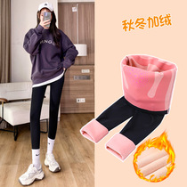 Shark pants women wear spring and autumn abdomen lifting hip tight leggings suspension Barbie yoga pants autumn and winter plus Velvet
