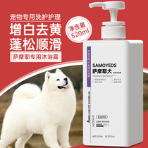Samoye shower gel whitening yellow white hair special deodorant into puppies pet shampoo liquid dog bath supplies