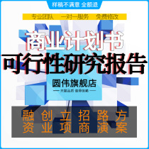 Business plan writing on behalf of the feasibility study report production Project Project program PPT design