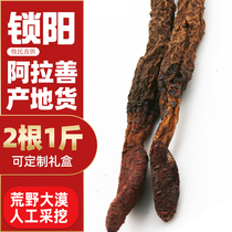 Golden Cynomorium 500g Wild Chinese Medicinal Materials Super Liquor Male Nourishing Cistanche Cynomorium The whole root can be sliced