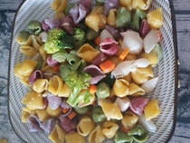 Shell noodles Conch Noodles Baby Handmade Nutrition Vegetable Noodles Childrens Supplementary Food Student Noodles 2 Jin