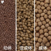 Turtle food Brazilian tortoise crocodile tortoise Turtle Feed dried shrimp large medium and small granules young tortoise into a turtle