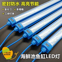 220v-seafood pond fish tank led lighting energy-saving waterproof square tube blue shell pvc pipe fittings light