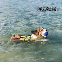 Male dog pet life jacket dog swimsuit vest funny clothes summer sling thin funny cute swimsuit