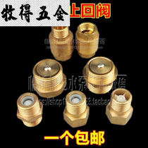 4 points 6 points one inch full copper check valve Gas check valve Water meter single flow valve Self-suction pump accessories water stop valve