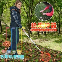 Chestnut tool picking CHESTNUT Chestnut artifact tool agricultural collector picker source factory straight