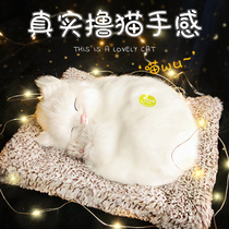 Will be called Cat simulation children doll ornaments cute animal model fake cat pet Valentines Day birthday gift female