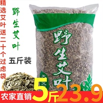 Wild Aileafs Feet Dry Aweed Farmhouse Chen Ai Artemisia Hair Sweating Pain Removes Moisture to Soak In the Moonlight Bath Home