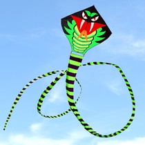 21 new green snake kite breeze easy to fly adult special large long-tailed snake children cartoon beginner wind competition