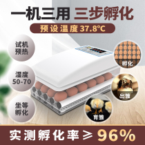 Pigeon incubator small household incubator incubator incubator for chicks mini duck egg full automatic incubator