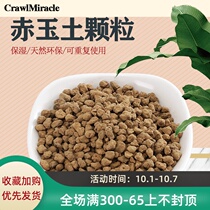 CM reptile Jade soil cushion cylinder insulation dehumidification deodorization rainforest landscape horned frog snake BAO WEN guard Palace climbing pad