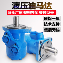 Hydraulic motor BM2 BMR-50 80 100 125 200 250 315 400 mold cycloid motor