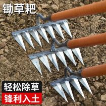 Six-teeth nails rake rake hoe rake grass harvesgrass grass grass grass grass grass pocket pine earth artifacts