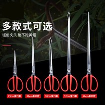 Finless eel clip eel fish clip Catch Crab God Ware Clay pliers Anti-slip tool Long fish catcher specialties