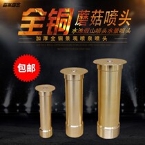 Pool Fountain Nozzle full set of large shower household universal water spray head agricultural Fish Pond Hotel supercharger Outdoor