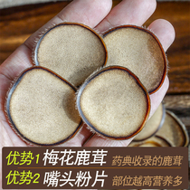 Plum blossom deer fluffy slices white powder slices whole roots with blood Jilin can be matched with red powder tablets deer whip mens soaking material