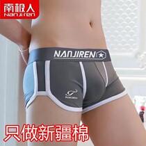 Antarctic new pure cotton mens underpants mens flat corner underpants mens youth trends Four corner pants men shorts male