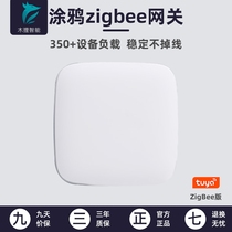 Graffiti zigbee Wired Wireless Gateway smart home system covers 300 square meters host control